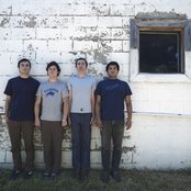 The Shins - List pictures