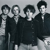 Vines - List pictures