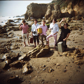 The Young Veins - List pictures