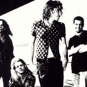 Carolines Spine - List pictures