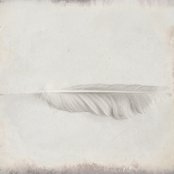 Snowbird - List pictures