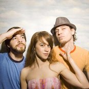 Tiny Animals - List pictures