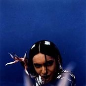 Bablyon Zoo - List pictures