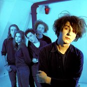 The Telescopes - List pictures