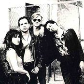 The Gun Club - List pictures