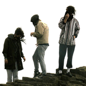 Is Tropical - List pictures