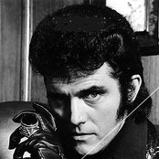 Alvin Stardust - List pictures