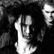 Skinny Puppy - List pictures