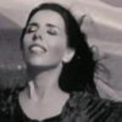 Laura Sullivan - List pictures