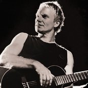 Sting - List pictures