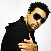 Shaggy - List pictures