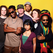 Easy Star All-stars - List pictures