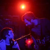 Brown Bird - List pictures