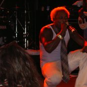 Elephant Man - List pictures