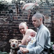 Psychic Tv - List pictures