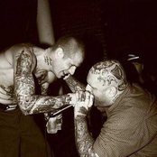 Merauder - List pictures