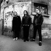 Feeder - List pictures