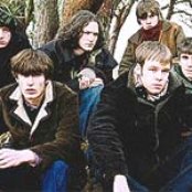 The Coral - List pictures