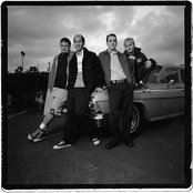 The Dingees - List pictures