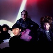 Minimal Compact - List pictures