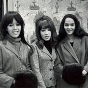 The Ronettes - List pictures
