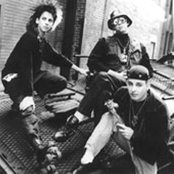 Information Society - List pictures