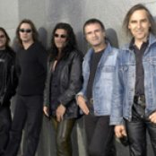 Krokus - List pictures