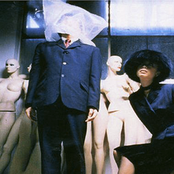 Pizzicato Five - List pictures