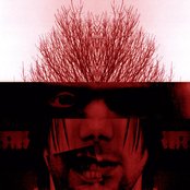 Eidolon - List pictures