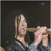 Paul Taylor - List pictures