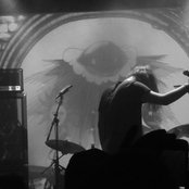 Moss - List pictures