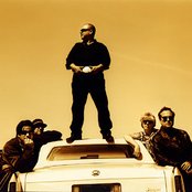 Frank Black And The Catholics - List pictures