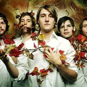 Kaddisfly - List pictures