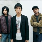 Does - List pictures