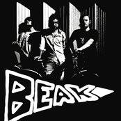 Beak> - List pictures