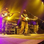 Bamboo - List pictures