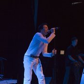 Iris - List pictures