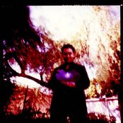 Omid - List pictures