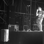 Shellac - List pictures