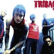 Tribal Ink - List pictures
