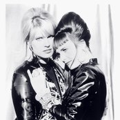 Voice Of The Beehive - List pictures