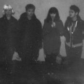 Pins - List pictures