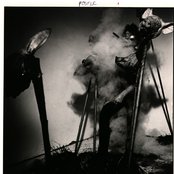 Foetus - List pictures