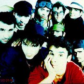 Mano Negra - List pictures