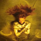 Ayreon - List pictures