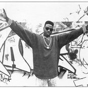 Schoolly D - List pictures