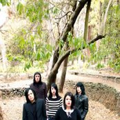 Scarling - List pictures