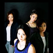 Datura - List pictures