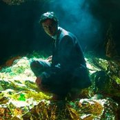 Oscar And The Wolf - List pictures