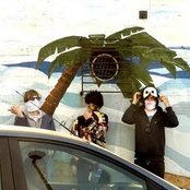 Is Tropical - List pictures